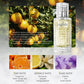 VILÍLY Miffair Secret Glaze Luxury EDT Perfume (50ml)